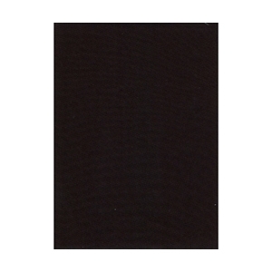 Promaster 10x20ft Muslin Backdrop (black)