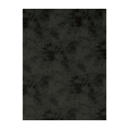 Promaster 10'x12' Cloud Dyed Backdrop - Charcoal