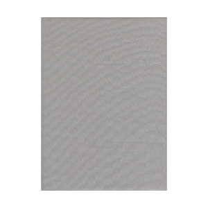 Promaster 10x20ft Muslin Backdrop (gray)