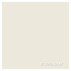 Savage 53in x 12yd Studio Gray Seamless Paper
