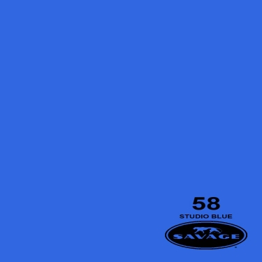 Savage 86in x 12yd Studio Blue 