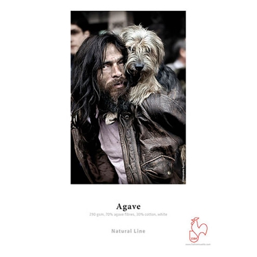 Hahnemuhle Agave 290gsm Photo Paper (17x22 Inch, 25 Sheets)