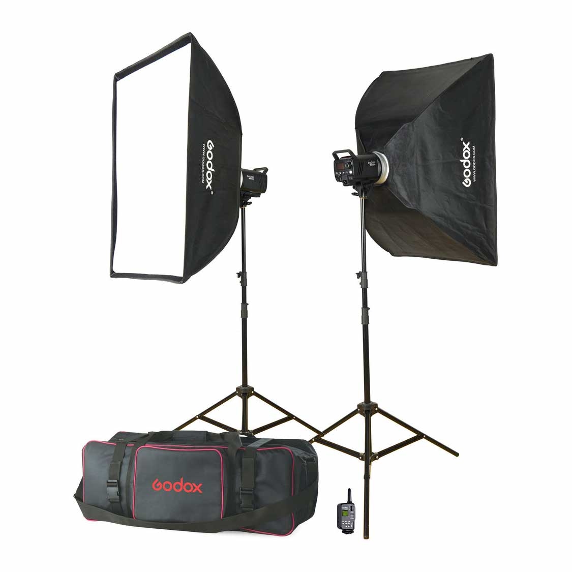 Godox MS300 F-2 Monolight Kit