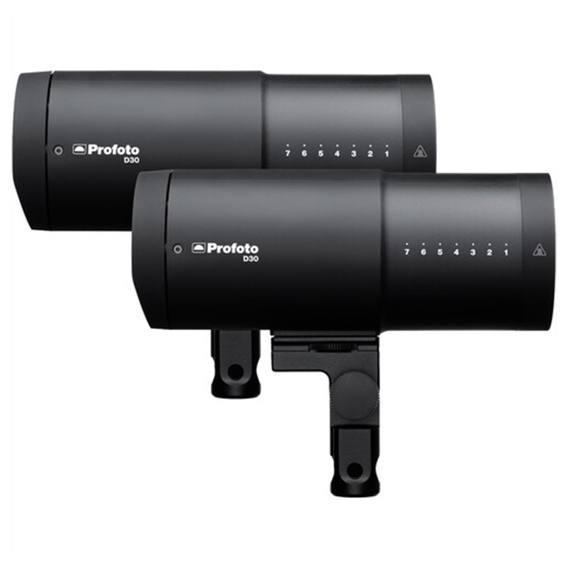 Profoto D30 500Ws Monolight Duo Light Kit