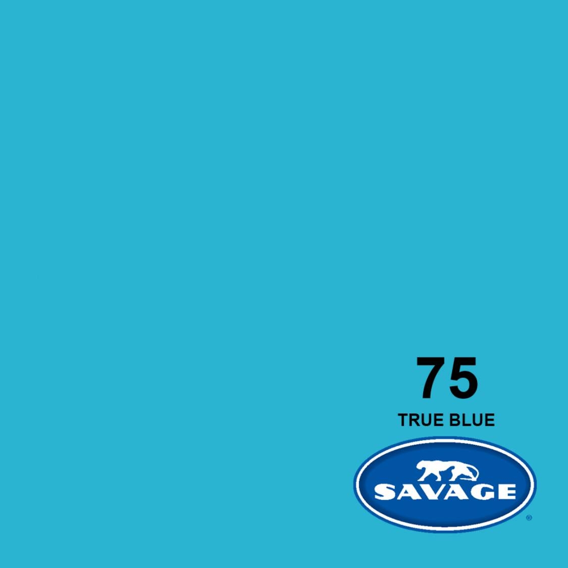 Savage 53inx 12yd  True Blue Seamless Paper