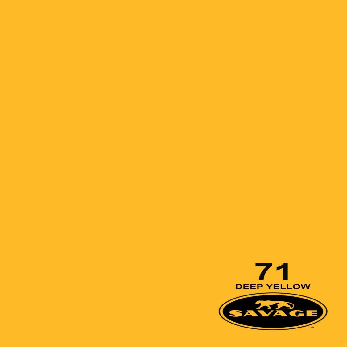 Savage 86in x 12yd Deep Yellow Seamless Paper
