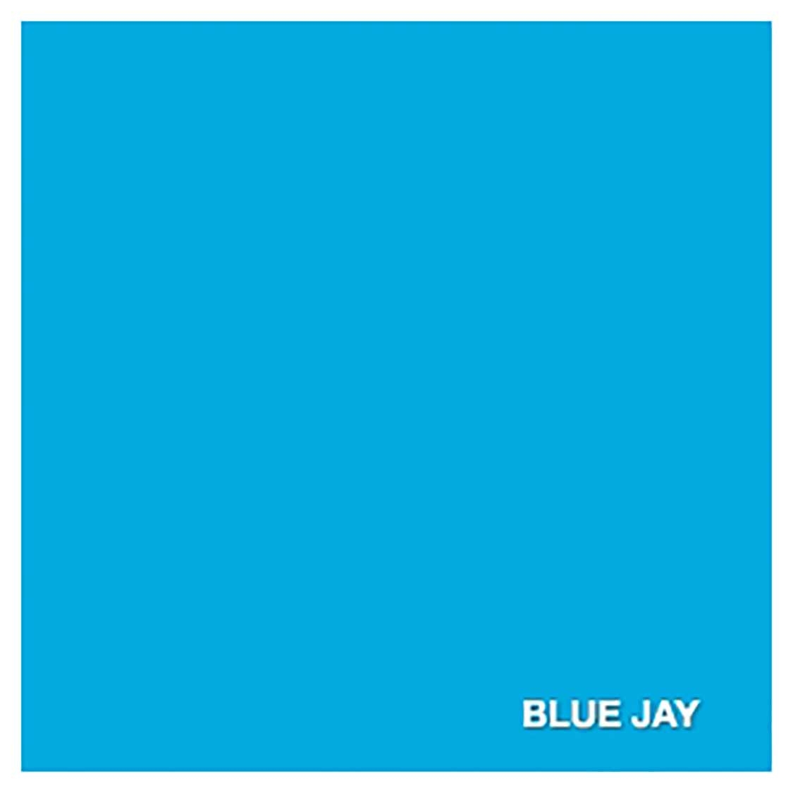 Savage 107in x 12yd Blue Jay Seamless Paper