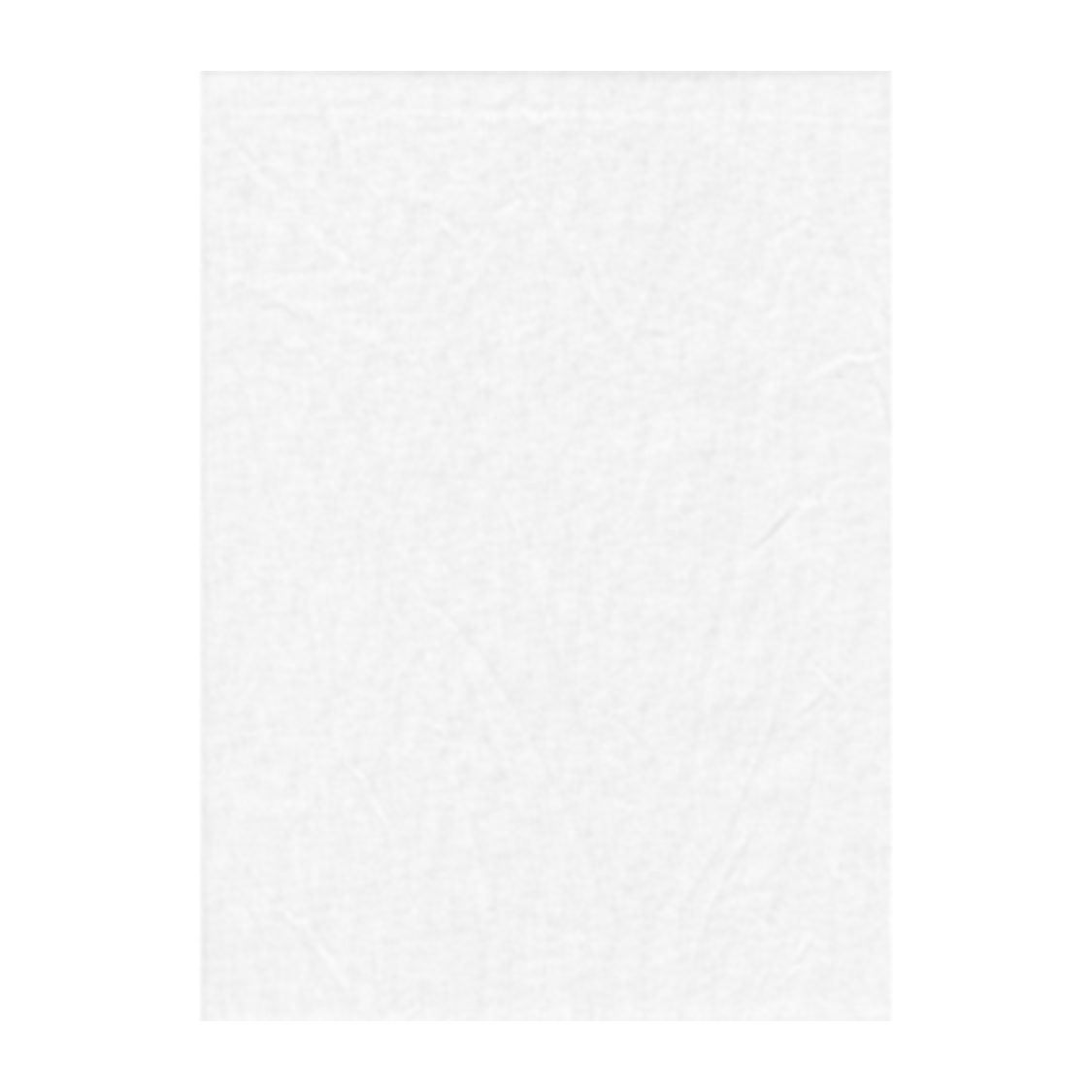 Promaster 10x20ft Solid Backdrop (White)