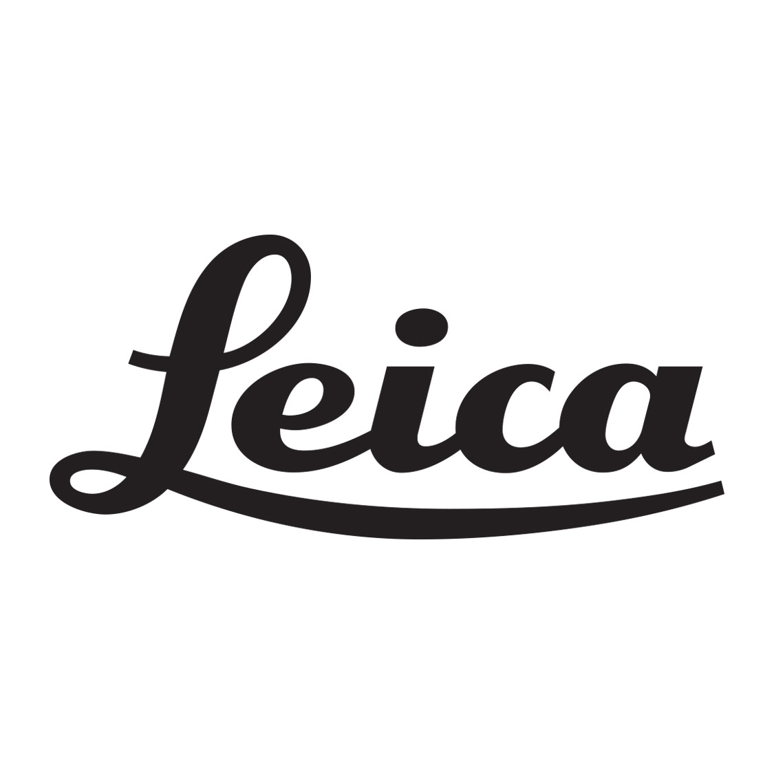 Leica D-LUX 4  Handgrip