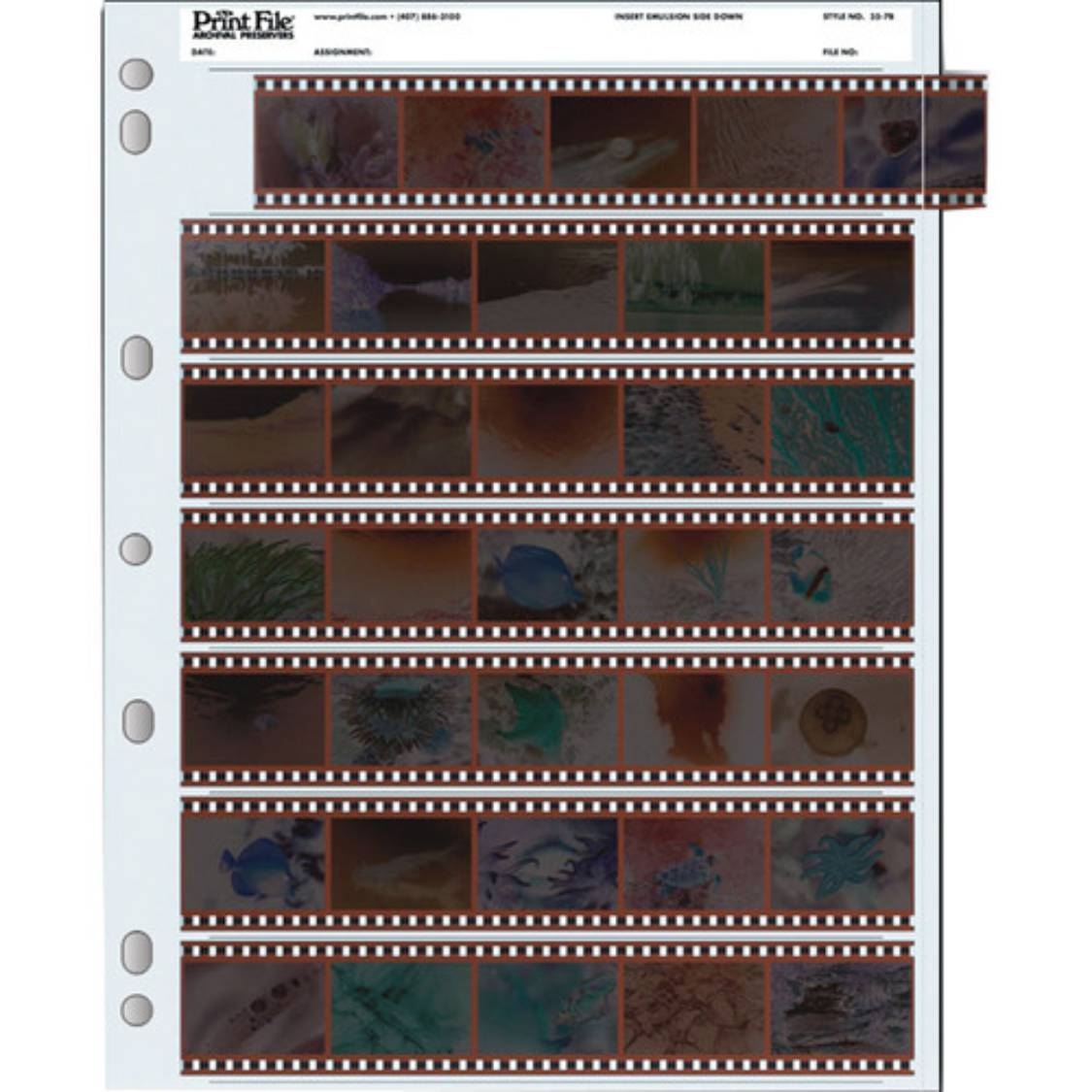 Print File Archival Storage Page for 35mm Negatives (100-Pack)