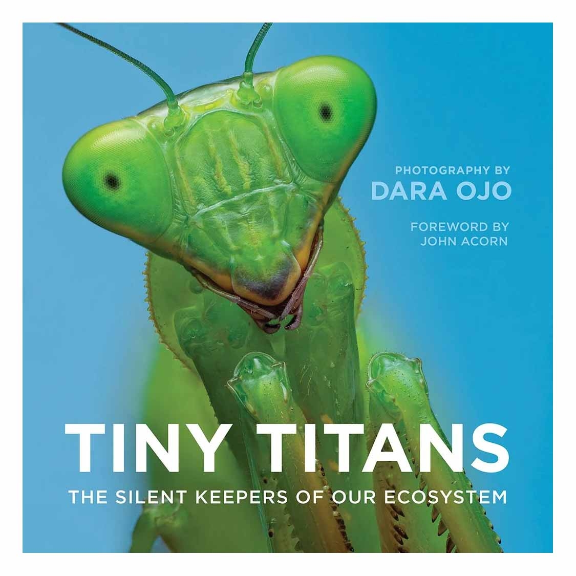 Tiny Titans: The Silent Keepers of Our Ecosystem by Dara Ojo