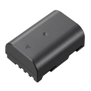 Panasonic DMW-BLF19 Battery