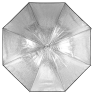 Profoto Umbrella Shallow Silver M (105cm/41-inch)