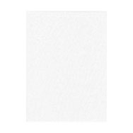 Promaster 10x20ft Muslin Backdrop (white)