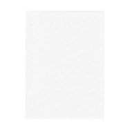 Promaster 10x20ft Muslin Backdrop (white)