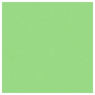 Savage 53in x 12yd Mint Green Seamless Paper