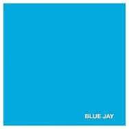 Savage 107in x 12yd Blue Jay Seamless Paper