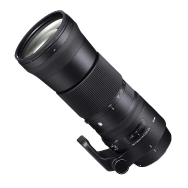 Sigma AF 150-600mm DG OS HSM Contemporary Lens (Nikon)