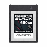 Delkin Black CFExpress 650GB 1725RD 1240WR Type B