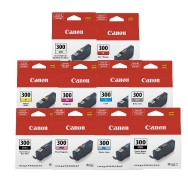 Canon PFI-300 10 Pack (All PRO-300 Inks)