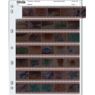 Print File Archival Storage Page for 35mm Negatives (100-Pack)