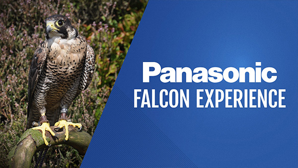 Panasonic Falcon Experience