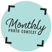 Monthly Photo Contest