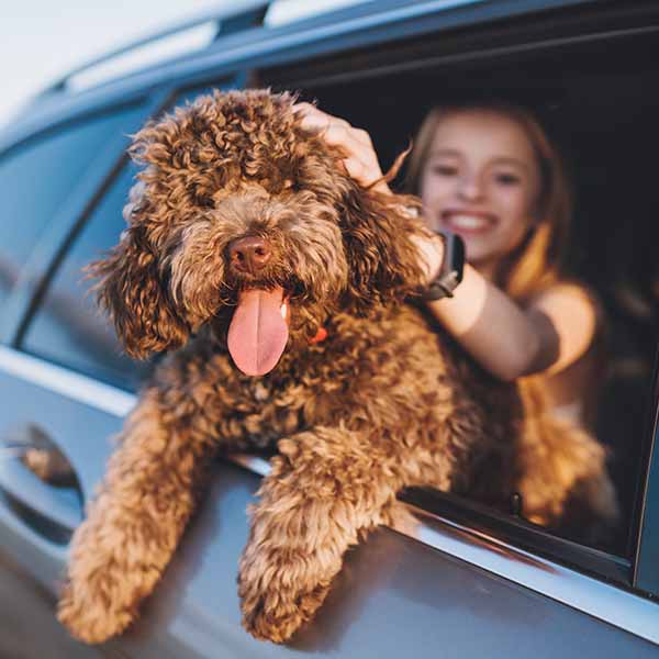 Second Chance Animal Rescue Society Adoption Event