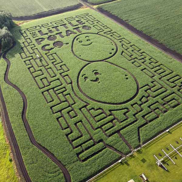 Edmonton Corn Maze Photo Walk