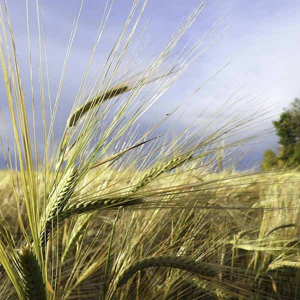 Landscape Photography 101 with Angie Patterson