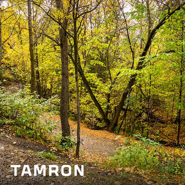 Tamron Tours Photo Walk – Mill Creek Ravine