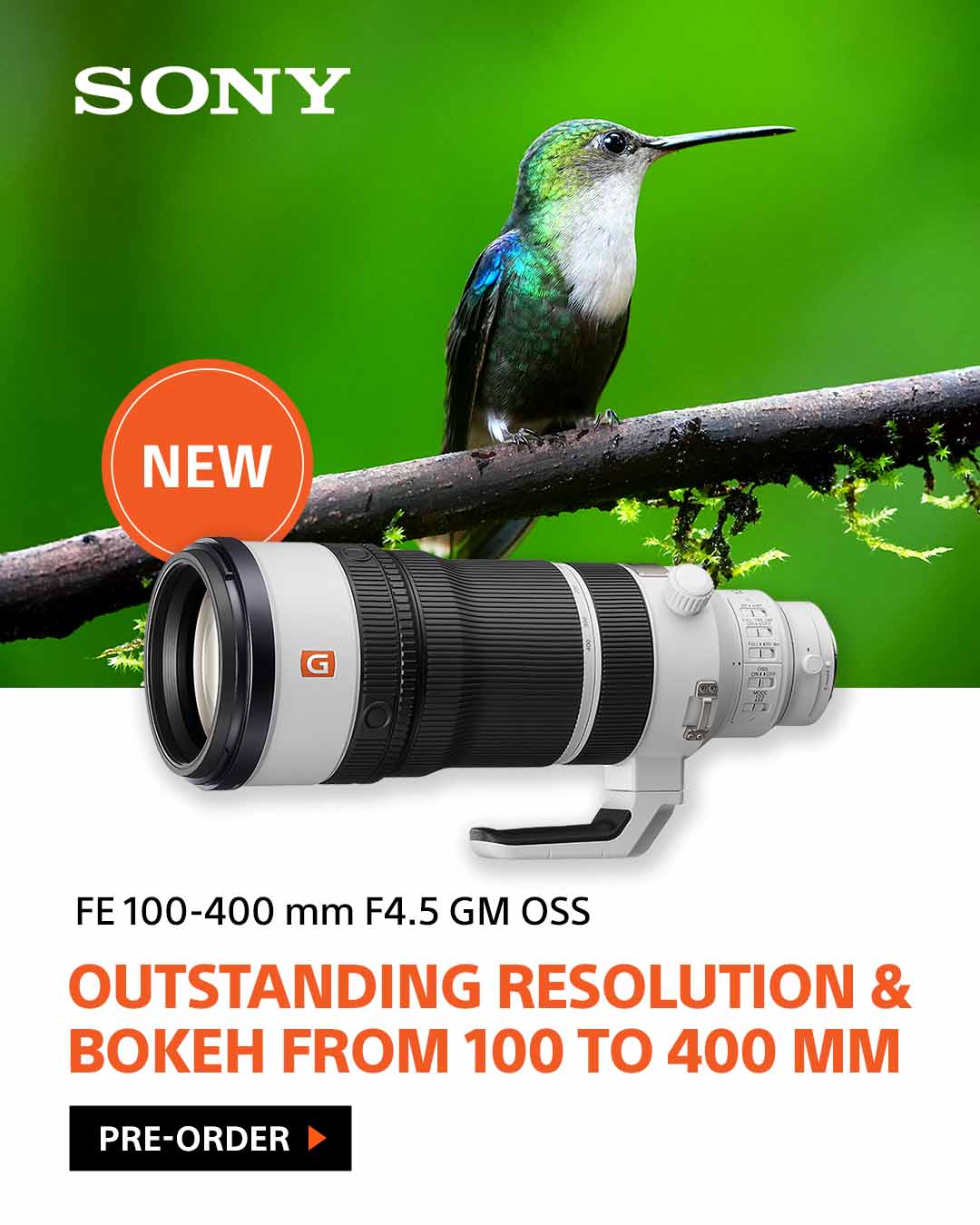 Sony FE 100-400mm F4.5 GM OSS Lens